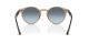 Ray-Ban RB 2180 6788V1