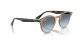 Ray-Ban RB 2180 6788V1