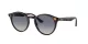 Ray-Ban RB 0RB2180 710/4L