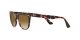 Ray-Ban Wayfarer Ii RB 2185 1334/51
