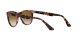 Ray-Ban Wayfarer Ii RB 2185 1334/51