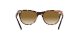 Ray-Ban Wayfarer Ii RB 2185 1334/51