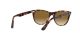 Ray-Ban Wayfarer Ii RB 2185 1334/51