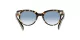 Ray-Ban Orion RB 2199 1332/3F