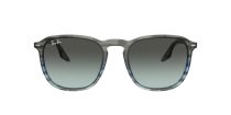 Ray-Ban RB 0RB2203 1391GK
