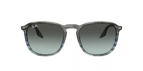 Ray-Ban RB 0RB2203 1391GK