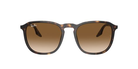 Ray-Ban RB 0RB2203 902/51