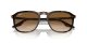 Ray-Ban RB 0RB2203 902/51