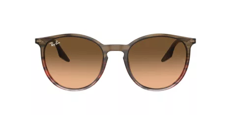 Ray-Ban RB 0RB2204 13953B