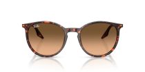 Ray-Ban RB 2204 14293B
