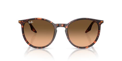 Ray-Ban RB 2204 14293B