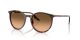 Ray-Ban RB 2204 14293B