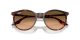 Ray-Ban RB 2204 14293B