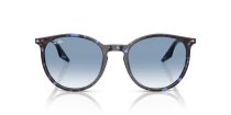 Ray-Ban RB 2204 14303F