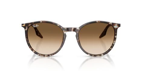 Ray-Ban RB 2204 143151
