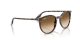 Ray-Ban RB 2204 143151