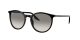 Ray-Ban RB 0RB2204 901/32