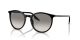 Ray-Ban RB 0RB2204 901/32