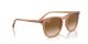 Ray-Ban RB 2210 676451