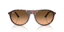 Ray-Ban RB 2215 14293B