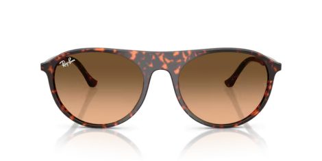 Ray-Ban RB 2215 14293B