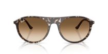 Ray-Ban RB 2215 143151