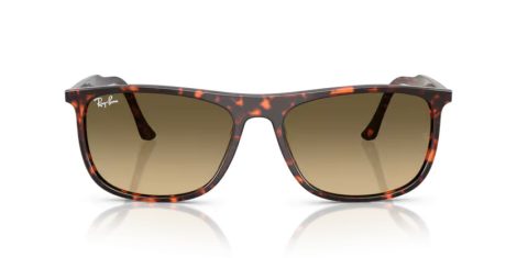 Ray-Ban RB 2216 14290A