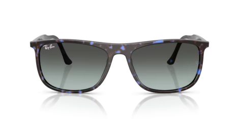 Ray-Ban RB 2216 1430GK