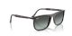 Ray-Ban RB 2216 1430GK