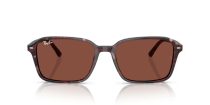 Ray-Ban Raimond RB 2231 1416C5