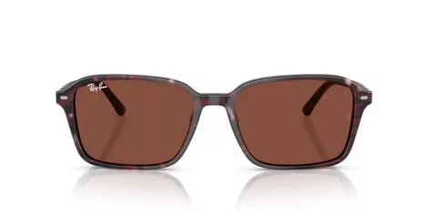 Ray-Ban Raimond RB 2231 1416C5