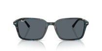 Ray-Ban Raimond RB 2231 1417R5