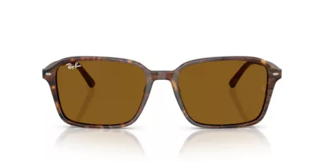 Ray-Ban Raimond RB 2231 141833
