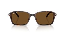 Ray-Ban Raimond RB 2231 902/57