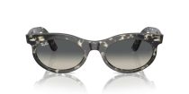 Ray-Ban Wayfarer Oval RB 2242 133371