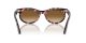 Ray-Ban Wayfarer Oval RB 2242 133451