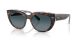 Ray-Ban Doreen RB 2286 1413S3