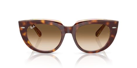 Ray-Ban Doreen RB 2286 141451 Ray-Ban Doreen RB 2286 141451