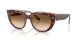 Ray-Ban Doreen RB 2286 141451 Ray-Ban Doreen RB 2286 141451