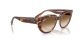 Ray-Ban Doreen RB 2286 141451 Ray-Ban Doreen RB 2286 141451