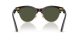 Ray-Ban Clubmaster Way RB 2341 990/31