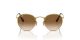 Ray-Ban Round Metal RB 0RB3447 001/51