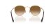 Ray-Ban Round Metal RB 0RB3447 001/51