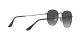 Ray-Ban Hexagonal RB 3548 002/71