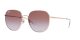 Ray-Ban RB 3680D 9202I8