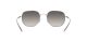 Ray-Ban RB 3682 003/11