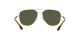 Ray-Ban RB 3683 001/31