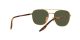 Ray-Ban RB 3688 001/31