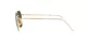 Ray-Ban Jim RB 3694 001/31