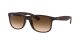 Ray-Ban Andy RB 4202 6073/13